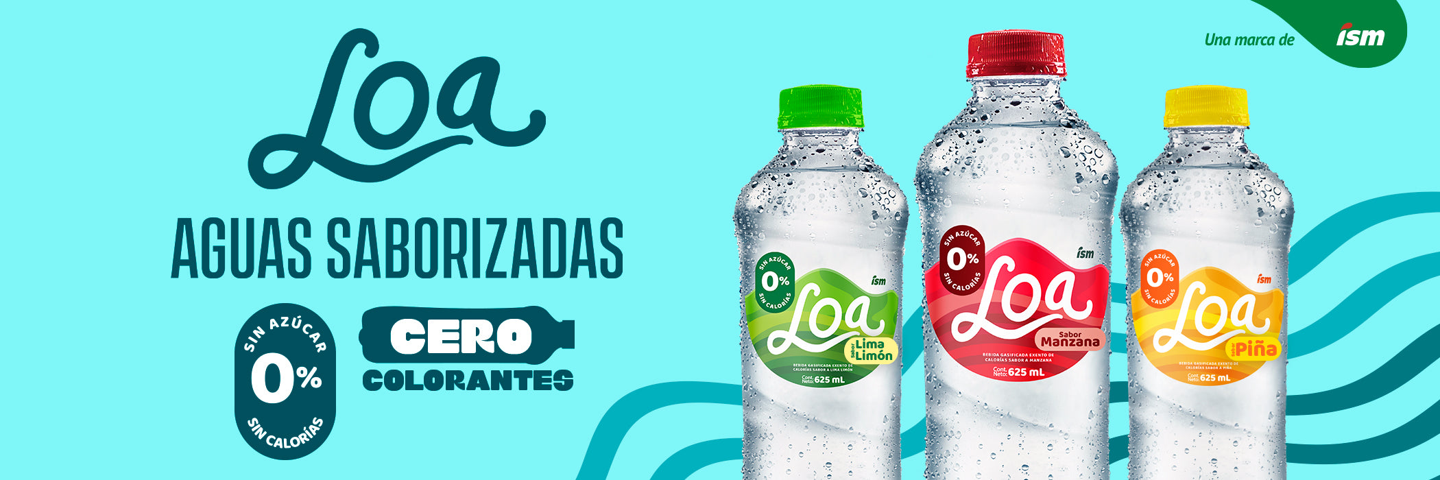 BANNER-1-LOA-WEB